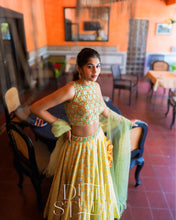 Load image into Gallery viewer, Summer Ghagra Set